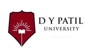 D.Y. Patil University